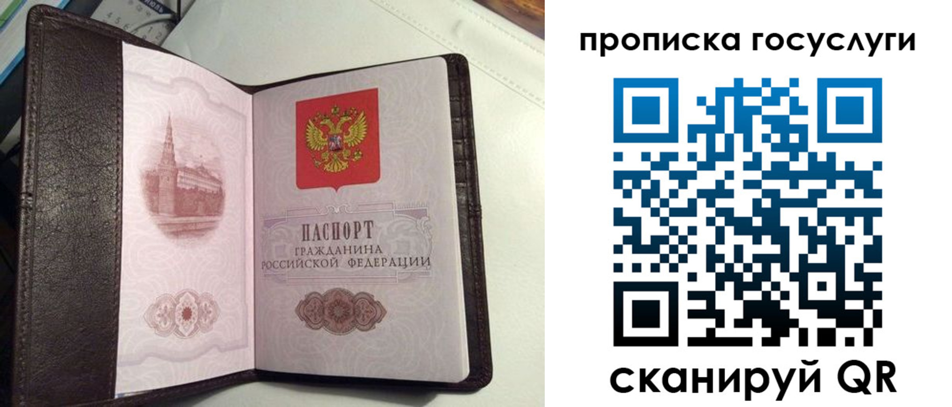 временная прописка в Евпатории